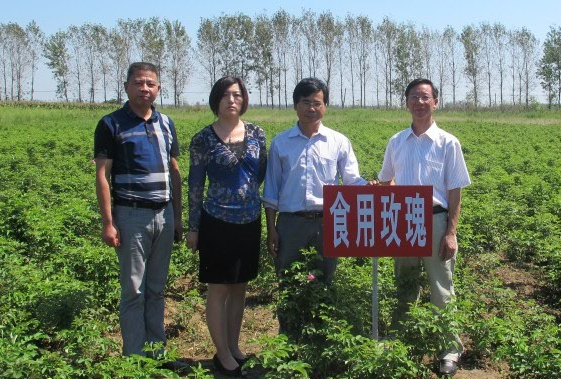 国产成人精品一区二区三区