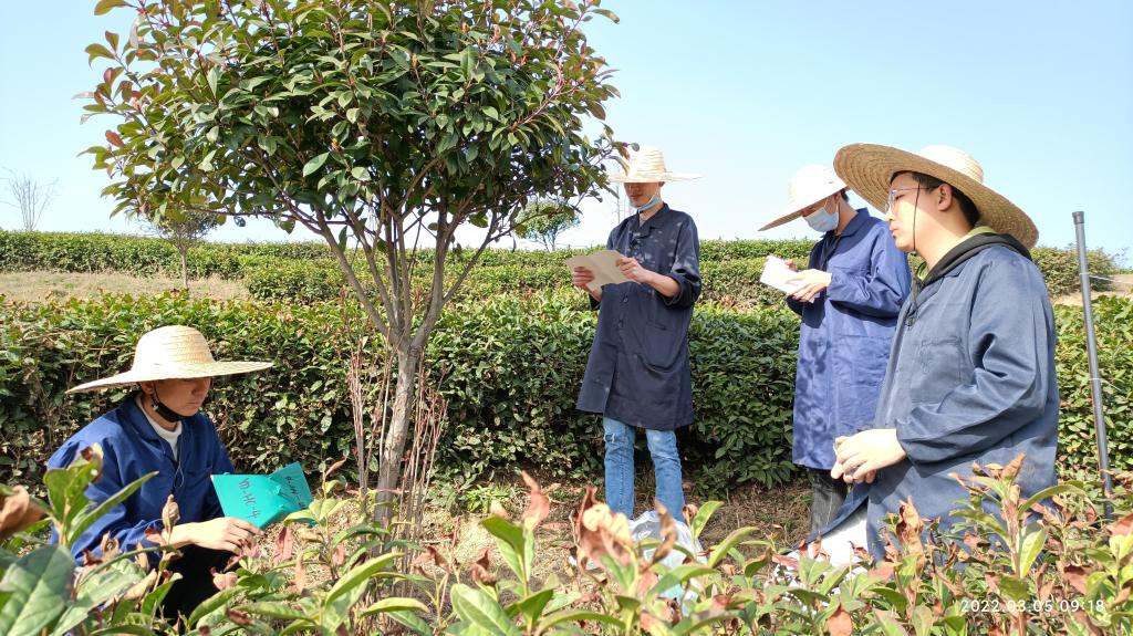 国产成人精品一区二区三区