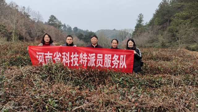 国产成人精品一区二区三区