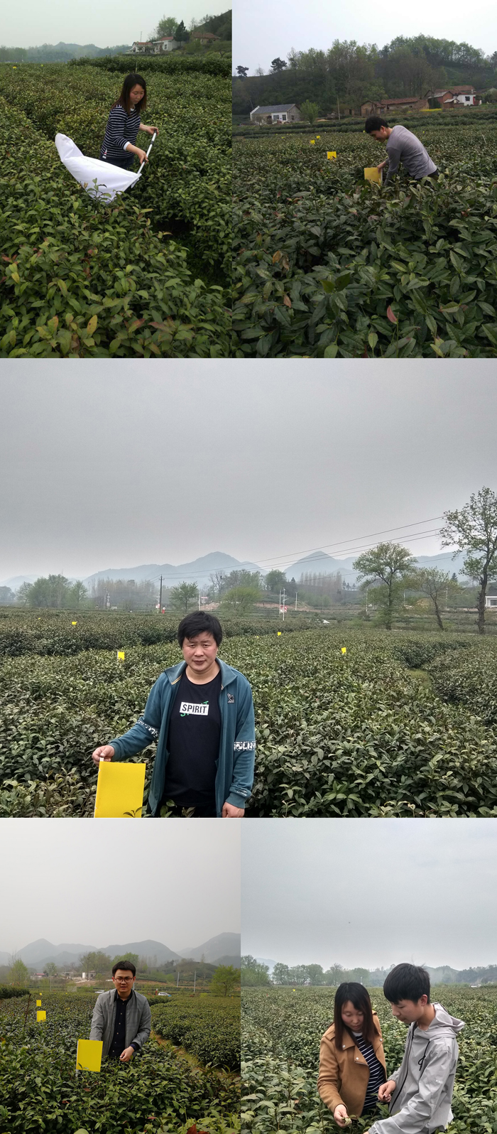 国产成人精品一区二区三区