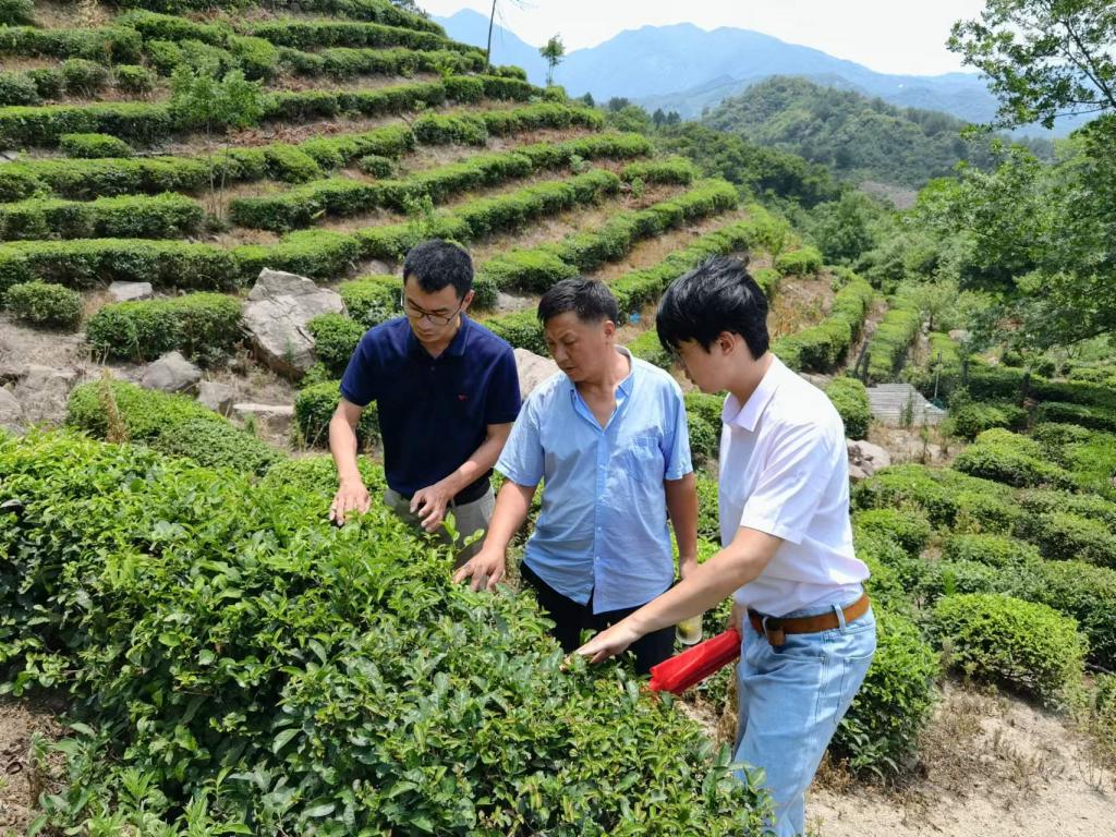 国产成人精品一区二区三区