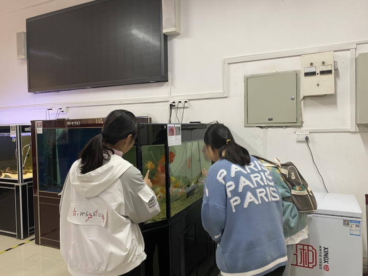 国产成人精品一区二区三区
