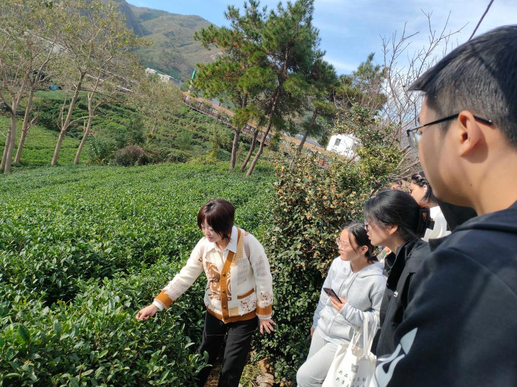 国产成人精品一区二区三区