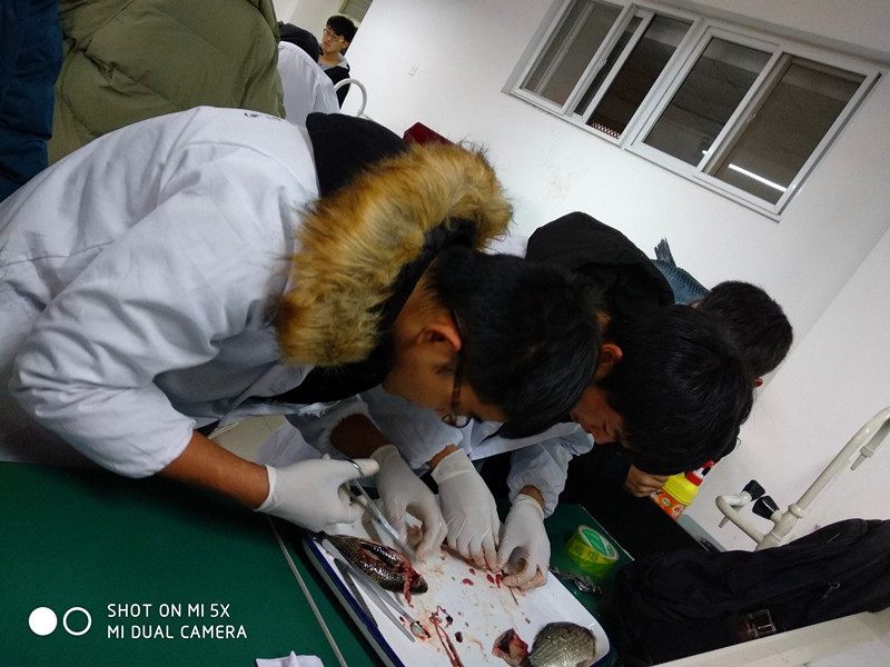 国产成人精品一区二区三区