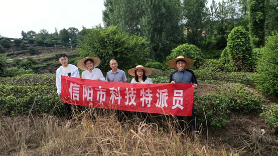 国产成人精品一区二区三区