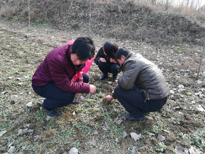 国产成人精品一区二区三区