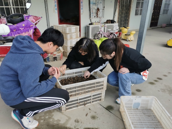 国产成人精品一区二区三区