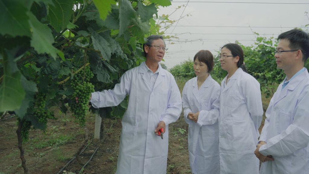 国产成人精品一区二区三区