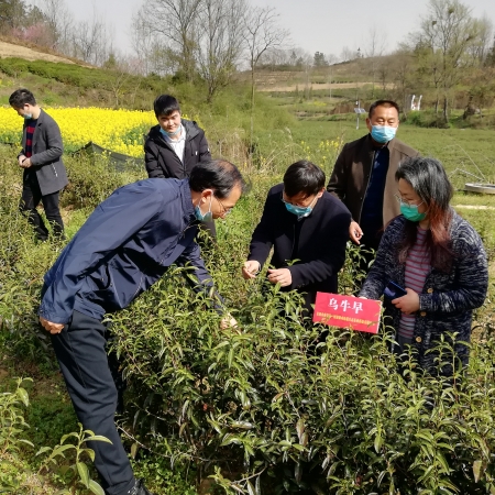 国产成人精品一区二区三区