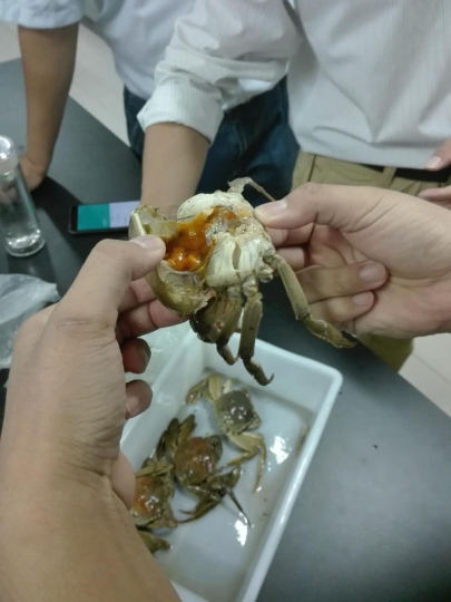 国产成人精品一区二区三区