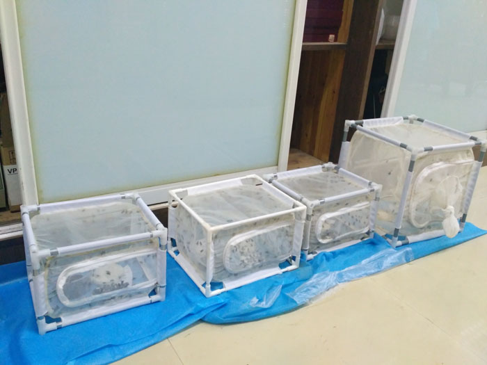 国产成人精品一区二区三区