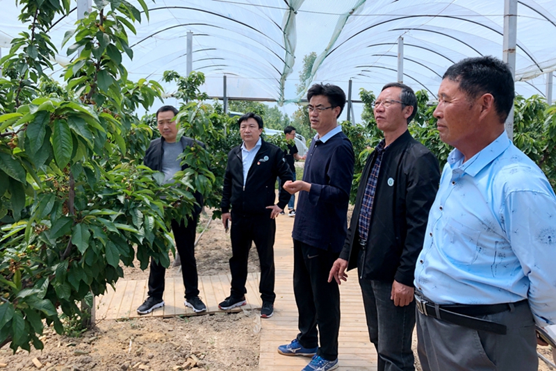 国产成人精品一区二区三区