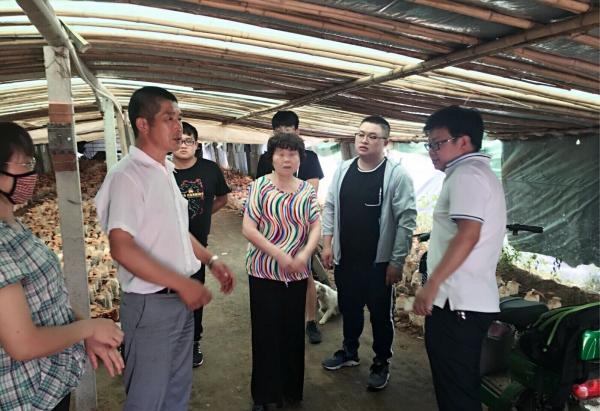 国产成人精品一区二区三区