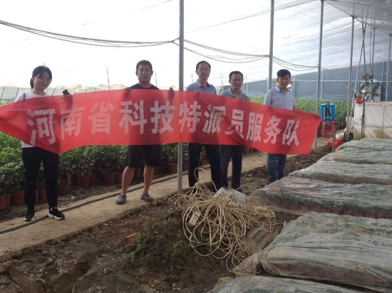 国产成人精品一区二区三区