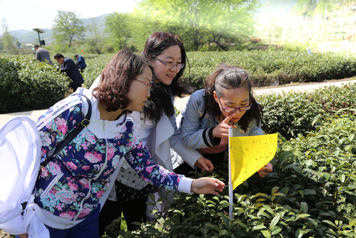 国产成人精品一区二区三区
