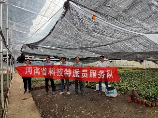 国产成人精品一区二区三区