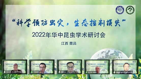 国产成人精品一区二区三区