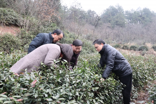 国产成人精品一区二区三区