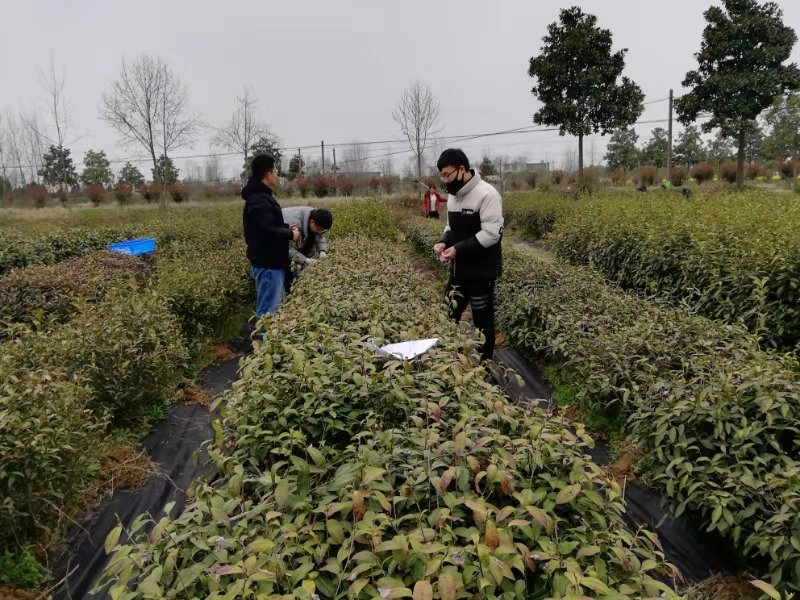国产成人精品一区二区三区