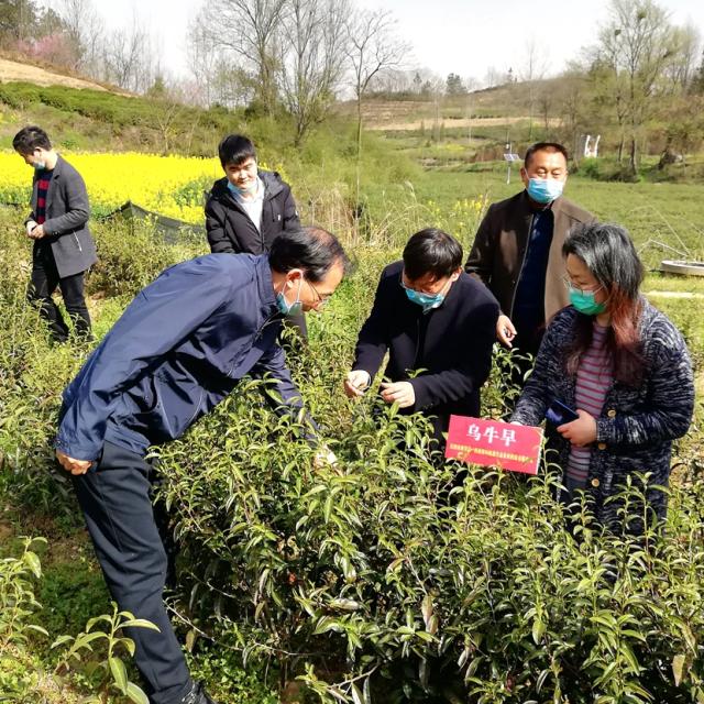 国产成人精品一区二区三区