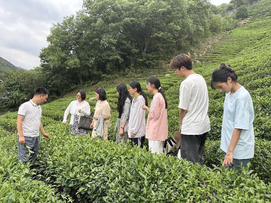 国产成人精品一区二区三区