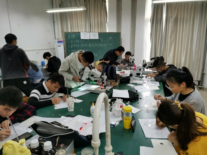 国产成人精品一区二区三区