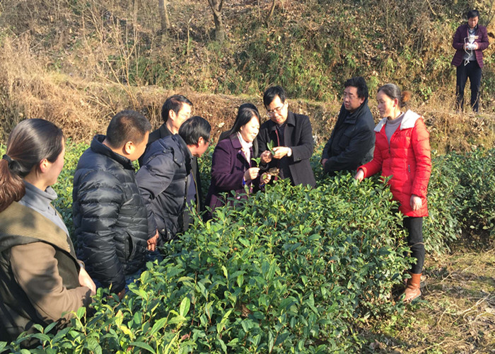 国产成人精品一区二区三区