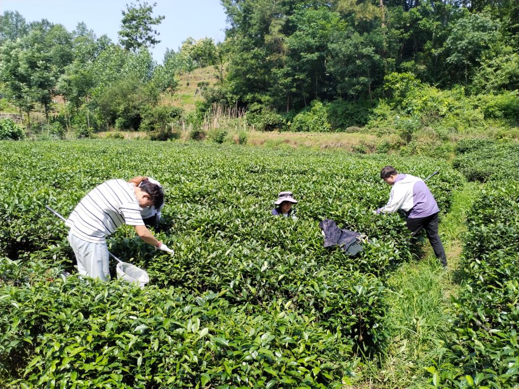 国产成人精品一区二区三区