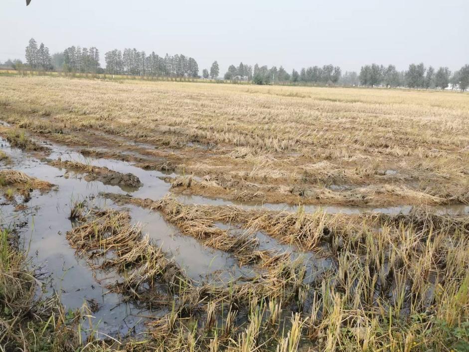 国产成人精品一区二区三区