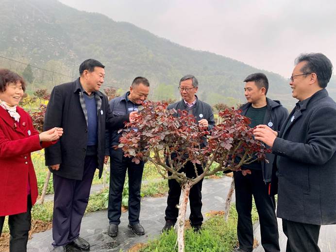 国产成人精品一区二区三区