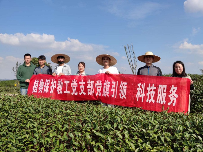 国产成人精品一区二区三区