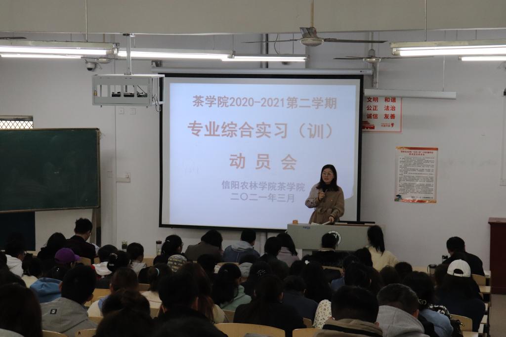 国产成人精品一区二区三区