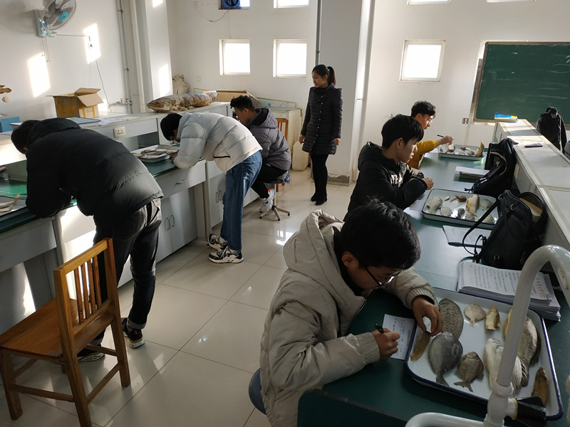 国产成人精品一区二区三区