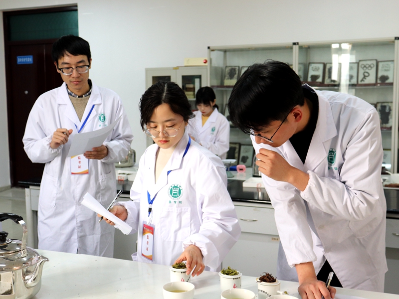 国产成人精品一区二区三区
