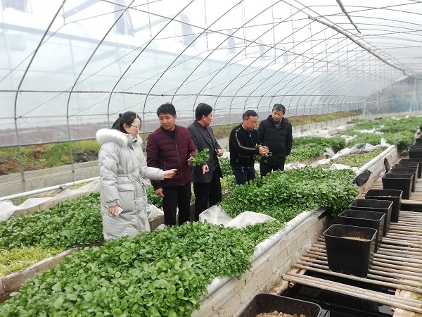 国产成人精品一区二区三区