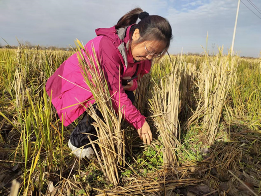 国产成人精品一区二区三区
