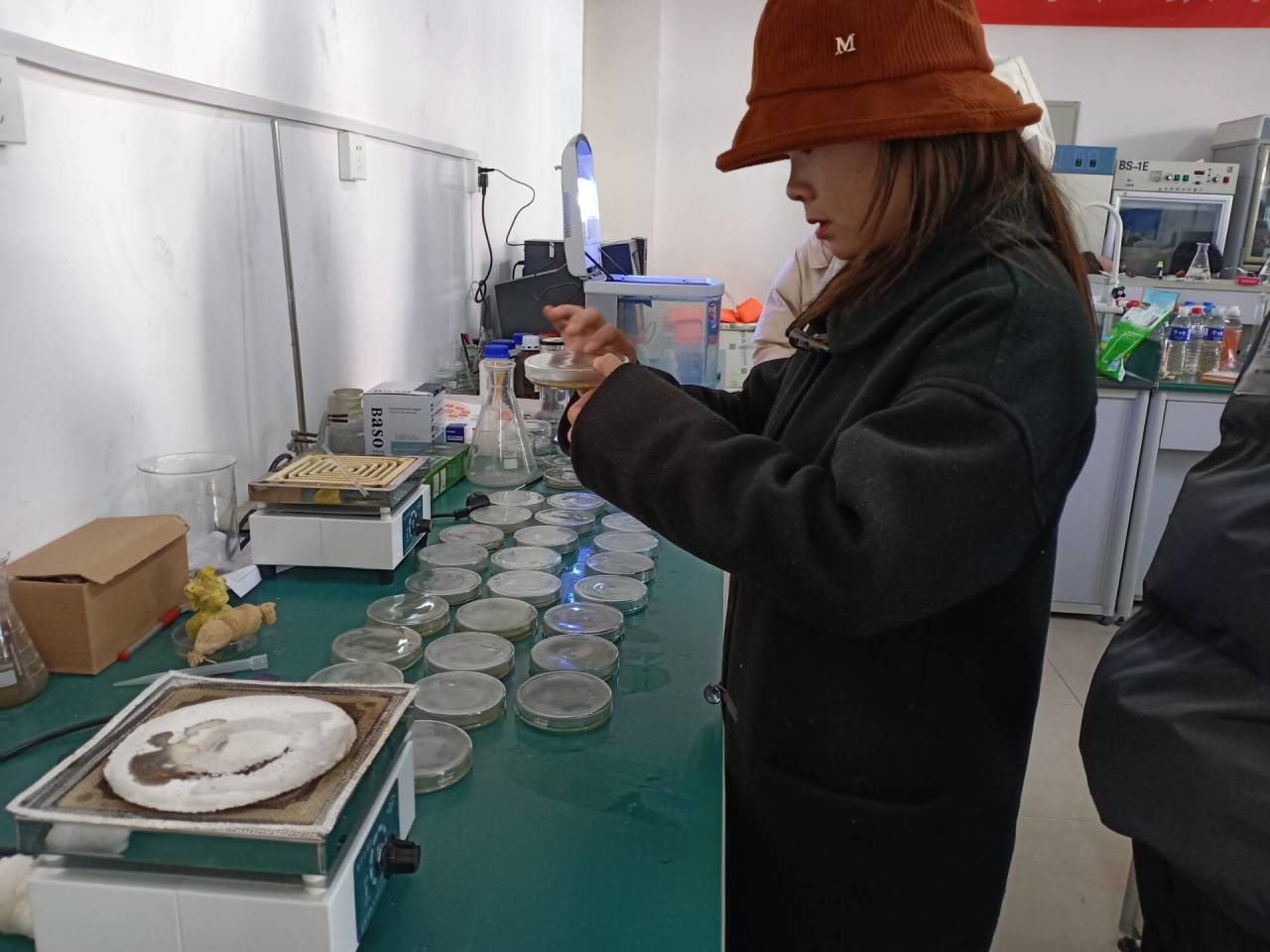 国产成人精品一区二区三区