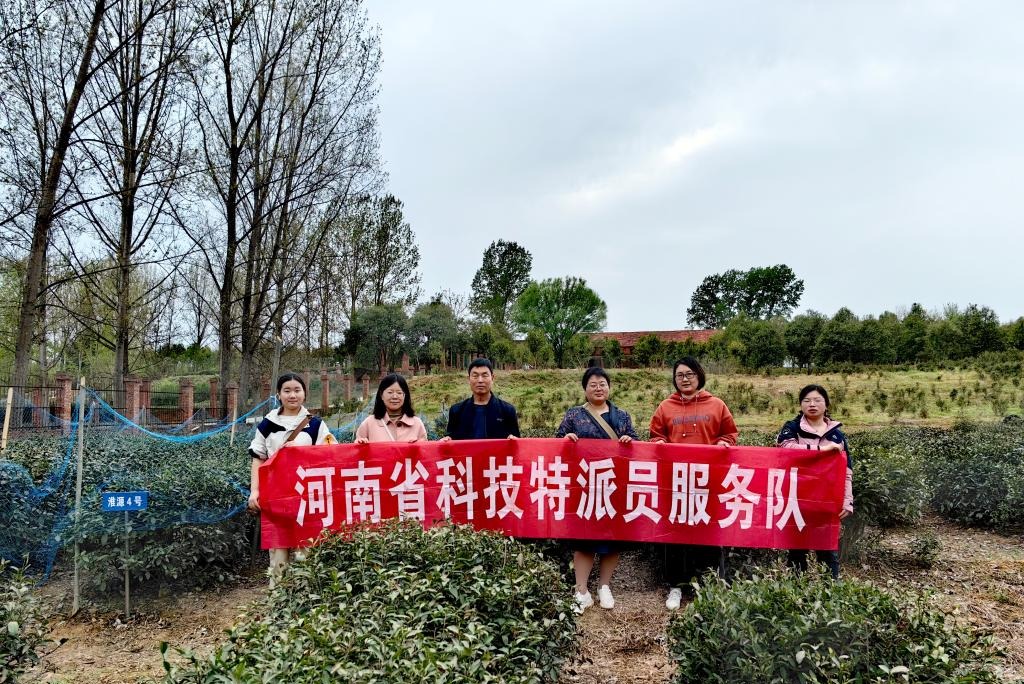 国产成人精品一区二区三区