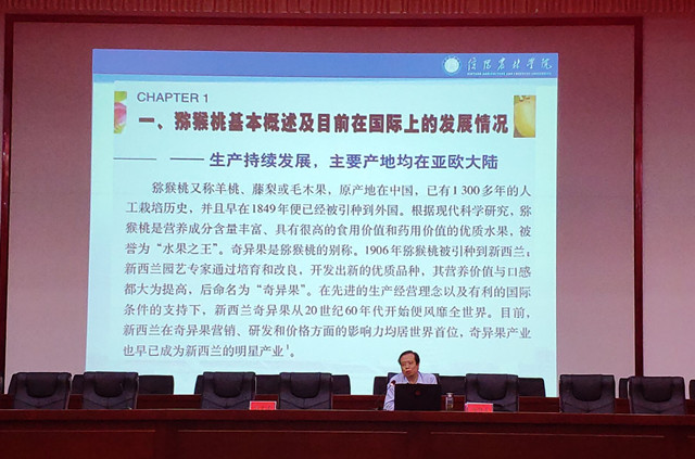 国产成人精品一区二区三区