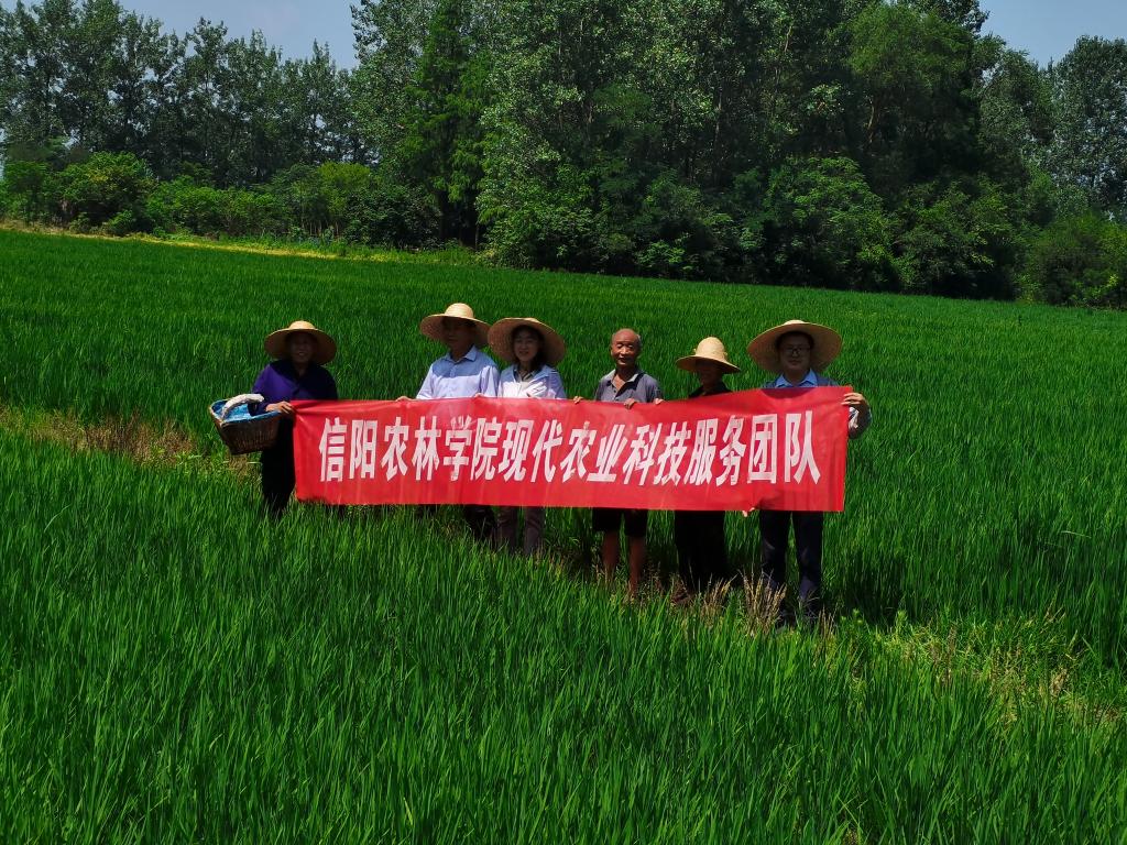 国产成人精品一区二区三区