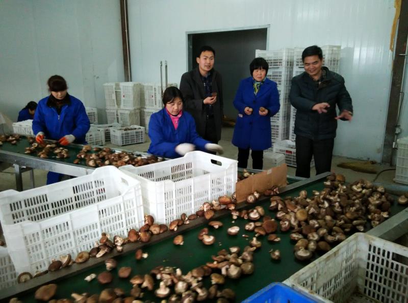 国产成人精品一区二区三区