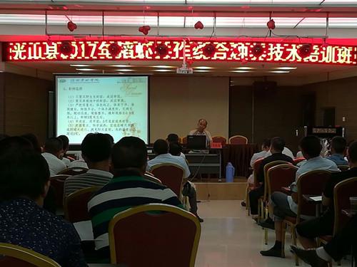 国产成人精品一区二区三区