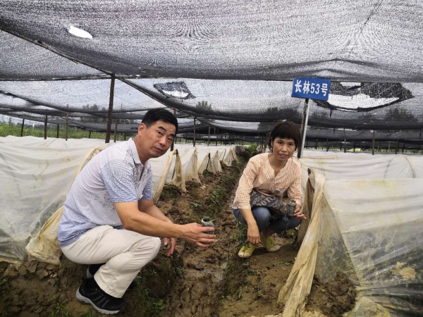 国产成人精品一区二区三区