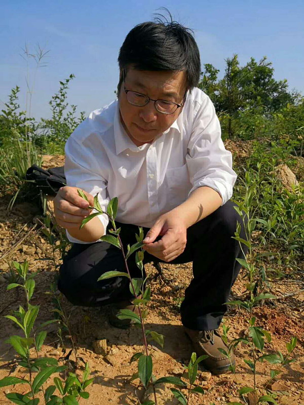 国产成人精品一区二区三区
