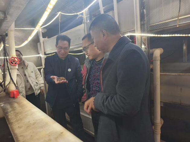 国产成人精品一区二区三区