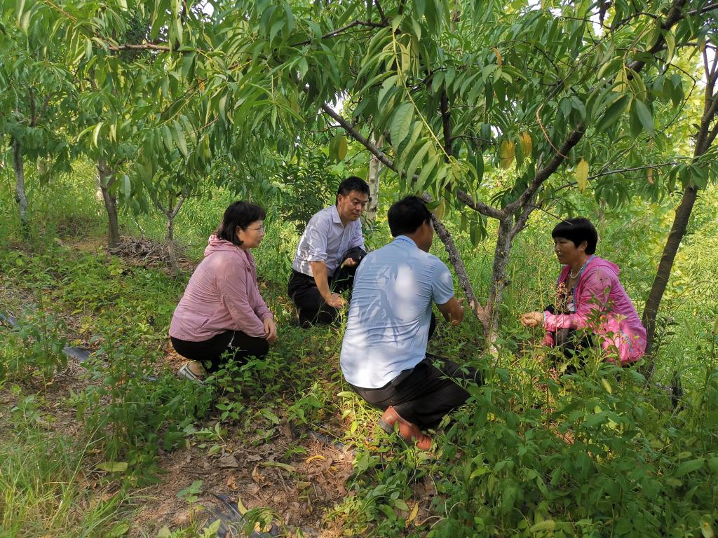 国产成人精品一区二区三区