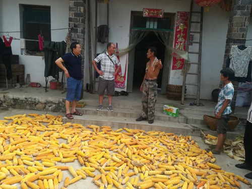 国产成人精品一区二区三区