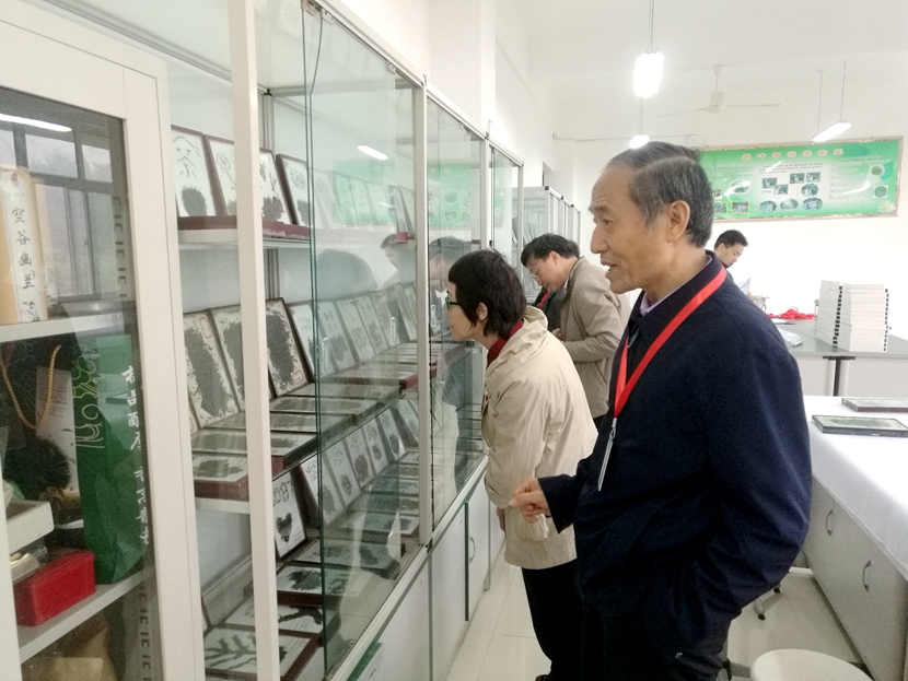 国产成人精品一区二区三区