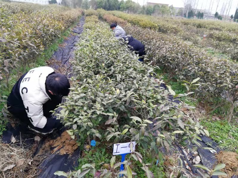 国产成人精品一区二区三区