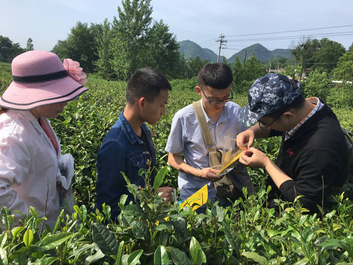 国产成人精品一区二区三区